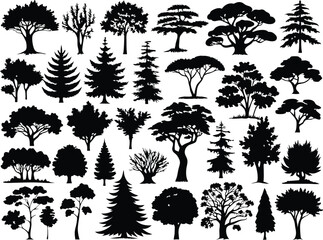 Fototapeta premium Collection of different park, forest, conifer cartoon trees silhouettes