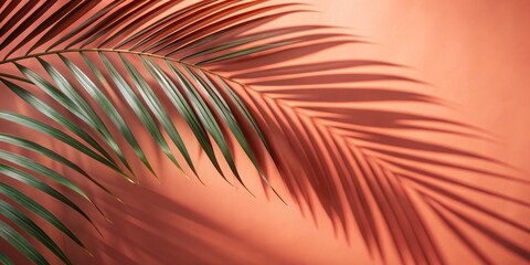 Palm Leaf Shadow on Coral Background, shadow , tropical , minimal , nature