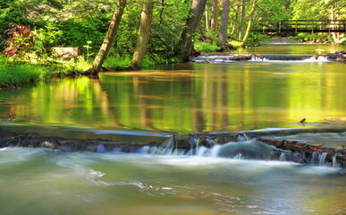 Mountain Stream On A Warm Summer Morning