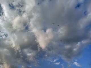 clouds in the sky