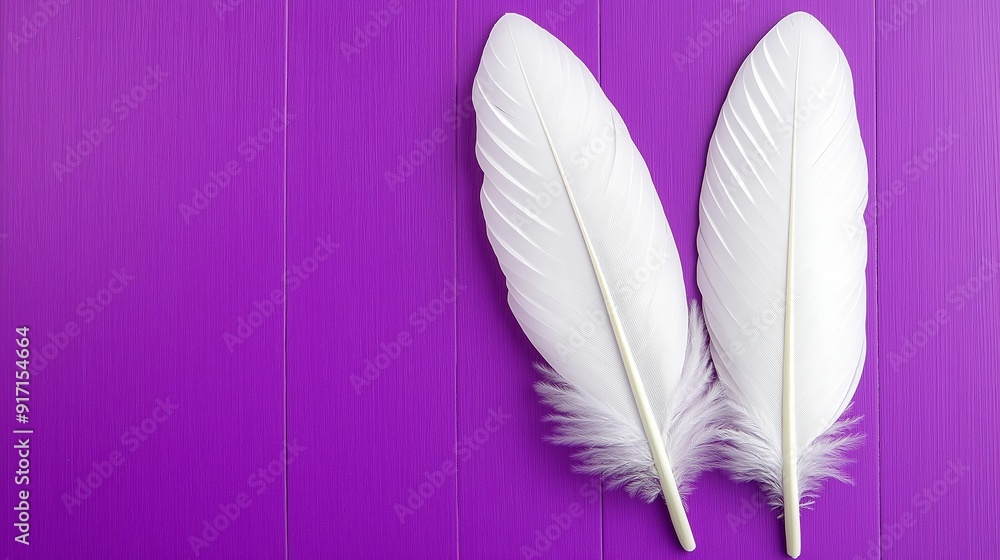 Poster two white feathers are on a purple background. the feathers are arranged in a way that they look lik