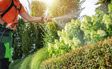 Naklejka premium Gardener Spraying Plants in Sunny Garden During Daytime