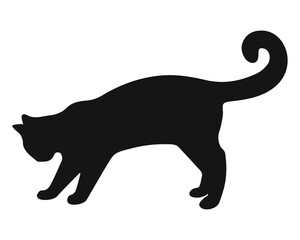 Cat black silhouette. Vector illustration 11