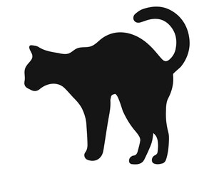 Cat black silhouette. Vector illustration 13