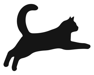 Cat black silhouette. Vector illustration 12