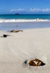 Rocks in sand at Darkwood Beach Antigua
