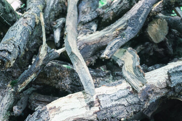 These are textured wooden logs beautifully placed within a natural setting outdoors