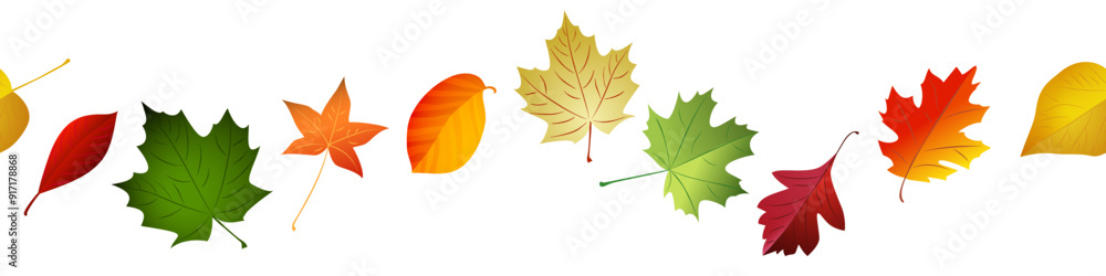 Wall mural autmn leaves seamless border. vector