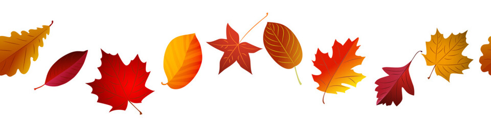 Autumn red leaves border seamless. Vector