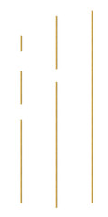 Vertical gold metal mounting rods - on isolated transparent background.