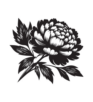 peone vector style,silhouette vector,black and white color