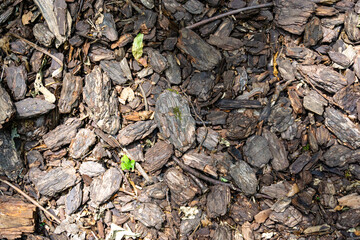 Natural Mulch Texture in a Beautifully Landscaped Area Enhances the Overall Environment