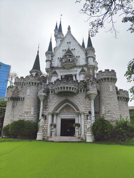 Enchanting Medieval Castle with Gothic Architecture on Lush Greenery, Stock Photo.