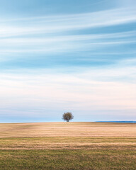 Minimalist peaceful outdoors landscape with negative space and nature elements.