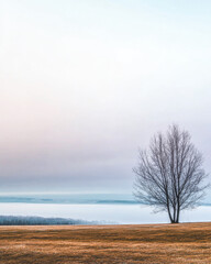 Obraz premium Minimalist peaceful outdoors landscape with negative space and nature elements.