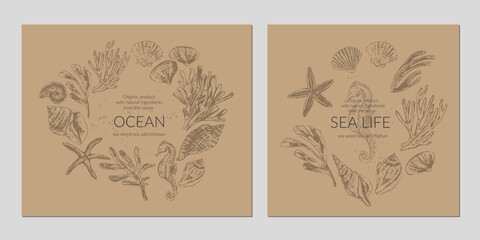 Sea liferound frame wreath background with seashells, seaweed, coral, starfish, seahorse