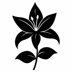 Lilyes Black silhouette