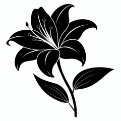 Lilyes Black silhouette