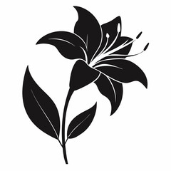 Lilyes Black silhouette