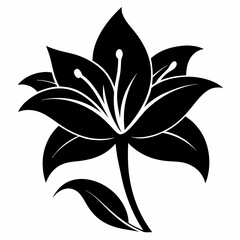 Lilyes Black silhouette