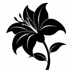 Lilyes Black silhouette