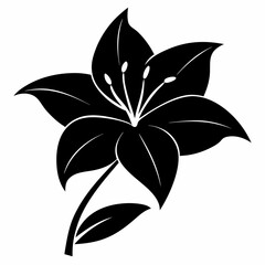 Lilyes Black silhouette