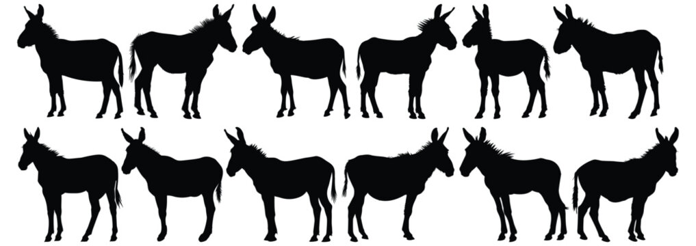 Donkey silhouette set vector design big pack of animal illustration and icon