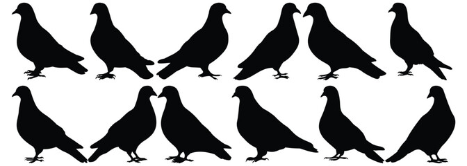 Pigeon silhouette set vector design big pack of bird illustration and icon