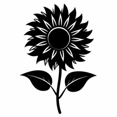 Fototapeta premium Sunflower Black silhouette