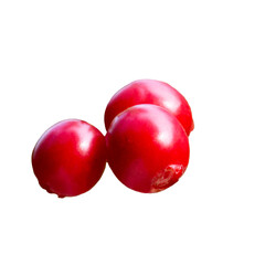 Lingonberry (fruits of Vaccinium vitis-idaea), isolated