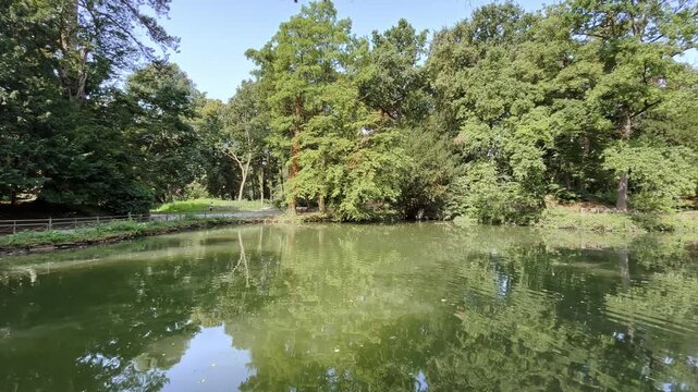 parco pubblico di monza, italia, 10agosto 2024