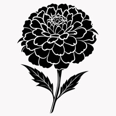 Marigold Black silhouette