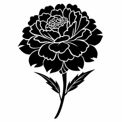 Fototapeta premium Marigold Black silhouette