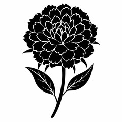 Marigold Black silhouette