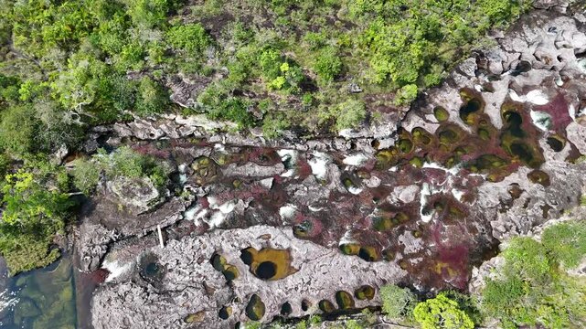 Ca&ntilde;o Cristales. La Macarena. Colombia