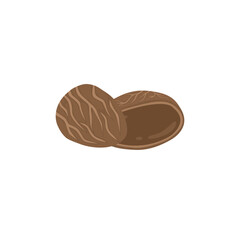 Kluwek Or Pangium Edule Illustration