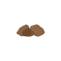 Kluwek Or Pangium Edule Illustration
