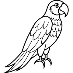 Macaw isolated on white background, Macaw vector illustration, bird on a branch vector art, Macaw silhouette, bird vector icon, Macaw on a branch line art, eps