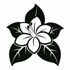 Jasmine Flower Black silhouette