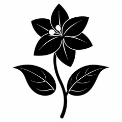 Jasmine Flower Black silhouette