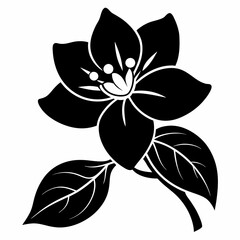 Jasmine Flower Black silhouette