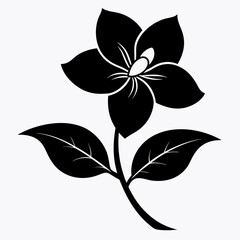 Jasmine Flower Black silhouette