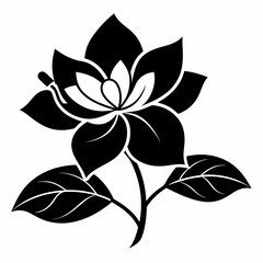 Jasmine Flower Black silhouette