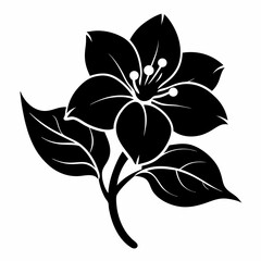 Jasmine Flower Black silhouette