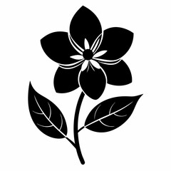 Jasmine Flower Black silhouette