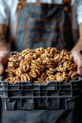 Naklejka premium Farmer s hands harvesting ripe walnuts for organic agriculture, nut collection and farming concept