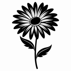 Daisy Black silhouette