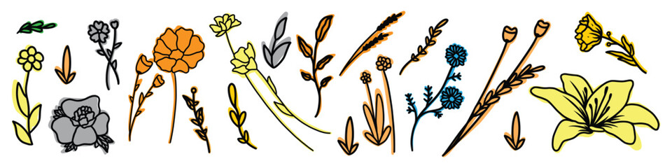 Wildflowers vector illustration set. Isolated flowers and leaves.