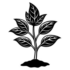 Young plant black art vector illustration