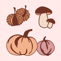 Various types of mushrooms and pumpkins displayed against a pink background